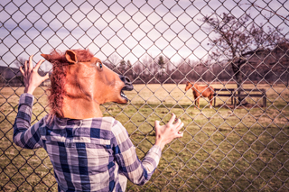 WEBコンサルティング